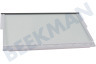 Siemens Refrigerador Plato de vidrio