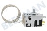 Secondi marchi Refrigerador 170459, 00170459 Termostato Controlador de temperatura