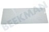 Beko Refrigerador 4331860100 Placa de vidrio Cajón de verduras