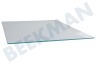 Schaub lorenz Refrigerador 4656270100 Tabla de estante Estante