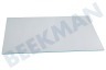 Schaub lorenz Refrigerador 4656270100 Tabla de estante Estante