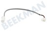 Hanseatic Refrigerador Sensor de temperatura
