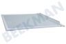 Sibir Refrigerador Tabla de estante Completo incluido el desmontaje