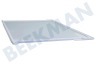 Sibir Refrigerador Tabla de estante Completo incluido el desmontaje