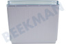 Pelgrim Refrigerador Cajón congelador Cajón deslizante, superior