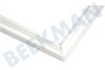 Hotpoint Refrigerador 115566, C00115566 Junta Sección del congelador 682x554