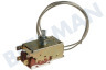 Ariston Refrigerador 58793, C00058793 Termostato K59L4121 Ranco