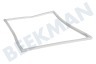 Liebherr Refrigerador Junta Blanco, 651x523mm