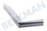 Liebherr Refrigerador Junta 890x525mm, Sección de refrigeración