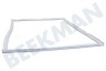 Liebherr Refrigerador Goma de sellado
