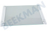 Liebherr Refrigerador 7277172 Tabla de estante Completamente