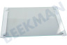 Liebherr Refrigerador 7277172 Tabla de estante Completamente