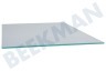 Liebherr Refrigerador 7271358 Plato de vidrio