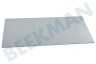 Liebherr Refrigerador 7271358 Plato de vidrio