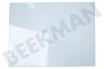 Liebherr Refrigerador Tabla de estante Piso superior