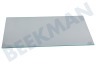 Liebherr Refrigerador 7271839 Tabla de estante Pequeño, vidrio de seguridad