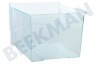 Liebherr Refrigerador Cajón verdura Transparente pequeño 295x230x185mm