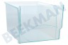Liebherr Refrigerador Cajón verdura Transparente pequeño 295x230x185mm