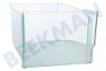 Liebherr Refrigerador Cajón verdura Transparente 375x250x185mm