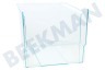 Liebherr Refrigerador Cajón verdura Transparente, 235x215x300mm88x283mm