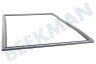 Hotpoint-ariston Refrigerador Junta Frigorífico, gris