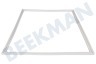 Bauknecht Refrigerador Junta 755x570mm blanco