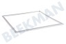 Cda (cont.dom.appl.) Refrigerador Junta 585x570mm blanco