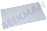 Bauknecht Refrigerador Tabla de estante 475x265mm