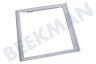 Whirlpool Refrigerador Soporte Fabricado en placa de vidrio 430x405mm