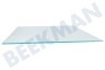 Whirlpool Refrigerador Tabla de estante Estante, parte superior de la sección del refrigerador