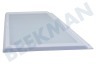 Privileg Refrigerador Tabla de estante Frente