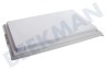 Fulgor milano Refrigerador Puerta frigorífico Completo con mango y goma.
