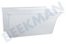 Indesit Refrigerador Cajón verdura Transparente