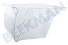 Indesit Refrigerador Cajón verdura Transparente