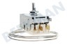 Hanseatic Refrigerador Termostato K59L1942500