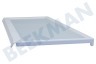 Gorenje Refrigerador Plato de vidrio
