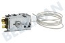 Gorenje Refrigerador Termostato 077B6738 -13 / -33 grados