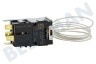 Gorenje Refrigerador Termostato 077B6738 -13 / -33 grados