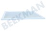 Samsung Refrigerador DA97-16728A Placa de vidrio