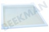 Samsung Refrigerador DA97-16728A Placa de vidrio