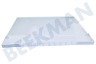 Samsung Refrigerador DA97-13550A Plato de vidrio Recipiente para verduras