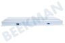 Sibir (n-sr) Refrigerador Solapa del congelador