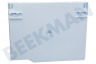 Dometic Refrigerador Placa base Compartimento congelador