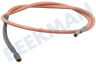Electrolux loisirs Refrigerador Cable de encendido por chispa