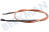 Electrolux loisirs Refrigerador Cable de encendido por chispa