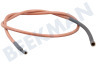 Electrolux loisirs Refrigerador Cable de encendido por chispa