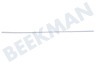 Haier Refrigerador 0060220967 Banda