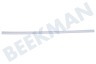 Haier Refrigerador 0060220967 Banda