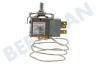 Inventum Refrigerador Termostato Refrigerador
