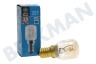 Tricity bendix Bombilla 230V 25W E14